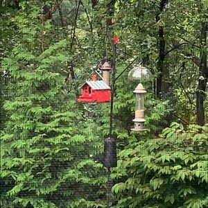 Meet your Posher, Salma